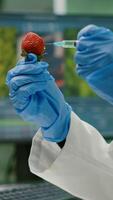 Closeup of biologist scientist injecting strawberry with dna liquid checking fruits for pharmaceutical medical experiment. Biochemist working in farming laboratory testing food for medical expertise photo