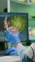 Chemist woman analyzing vegan beef meat for biochemistry experiment. Biologist researcher examining food genetically modified using chemical substance typing biological expertise on computer photo