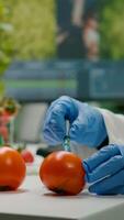 Closeup of chemist scientist injecting organic tomato with pesticides for gmo test. Biochemist working in pharmacology laboratory testing health food for microbiology expertise photo