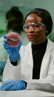 African chemist looking at lab-grown vegan meat sample for microbiology expertise. Scientist woman working on plant-blased beef substitute in biochemistry lab researching modified genetically food photo