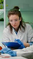 Two scientists talking about vegan meat sample typing biotechnology expertise on computer. Medical team researching vegetareian food modified genetically working in chemistry laboratory photo