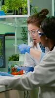 Collegues checking medical expertise on computer researching for gmo meat sample. Scientists womens working on plant-blased beef substitute in biology lab researching modified genetically food photo