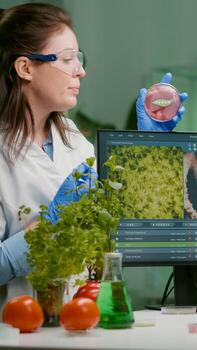 Biologists talking about vegan meat sample checking biochemistry expertise for chemistry experiment using computer. Medical team researching vegetareian food modified genetically photo