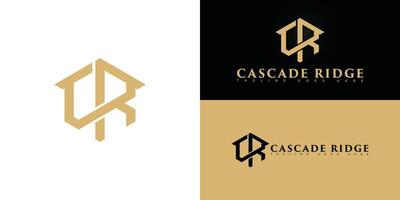 Abstract hexagon initial letter CR or RC in gold color isolated on multiple background colors. The logo is suitable for luxury home community logo design inspiration templates. vector