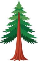 Redwood tree Isolated on transparent background vector