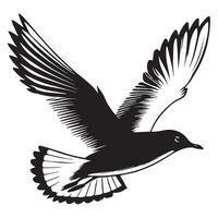 Black-headed Gull Silhouette, Chroicocephalus ridibundus Clipart, Black-headed gull gliding wings Illustration in black and white vector