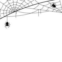 Spider Web With Spider on White Background vector