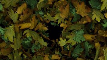Dynamic full screen animated autumn leaves transition From the edges than blown away video