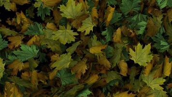 Dynamic full screen animated autumn leaves transition Diagonal wipe video