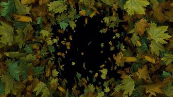 Dynamic full screen animated autumn leaves transition outer edges in from inner out video