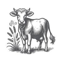 Cow Sketch Rustic Hand Drawn vector