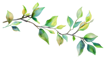 A watercolor painting of a leafy branch with green leaves. The painting has a serene and calming mood, with the leaves appearing to be in motion. The artist has captured the essence of nature png