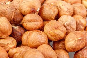 macro hazelnuts nuts on a white background photo