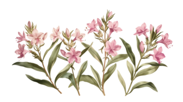 Three pink flowers are arranged in a row, with one of them being the tallest. The flowers are surrounded by green leaves, giving the impression of a natural, peaceful scene png