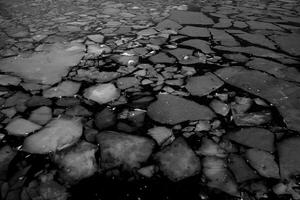 Close-up of Floating Ice in Water Surface photo