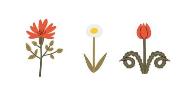Set of desert plants in flat style. Summer, desert, plants. Hand drawn illustration. vector