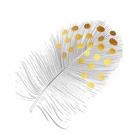 Black feather illustrations. Soft and downy feather of bird. Hand drawn element for packaging, label, logo, icon design. Symbol of lightness. Isolated on white. vector