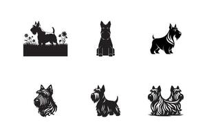 set of Scottish Terrier , silhouette, illustration on white background vector