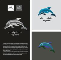 dolphin logo in three different objects vector
