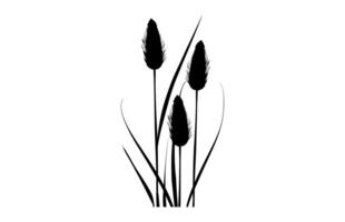Cattail Silhouette isolated on a white background vector
