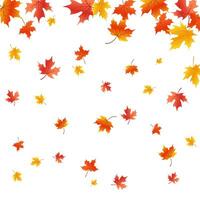 Background with falling leaves. Autumn leaves. Flying maple leaves. Autumn background in flat style. vector