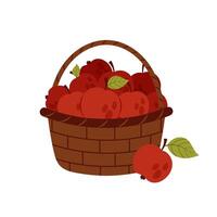 A basket of ripe apples. Red apple in flat style on white background. Harvesting in garden. vector