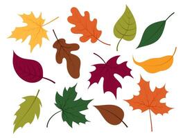 Autumn leaves. A set of different leaves of maple, oak and other trees. Autumn decoration in flat style. Yellow, red, orange fall leaf for pattern, banner, sticker. Hello autumn. vector
