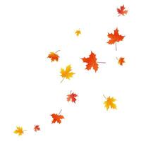 Composition of flying maple leaves. Autumn background. Background with orange maple leaves in flat style. vector