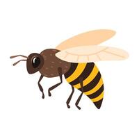 Honey bee isolated on white background. vector