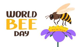 World bee day background. Honey bee collect pollen from flower. Honeybee day banner. vector