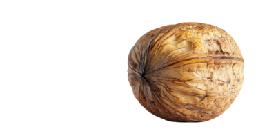 A Single Walnut with a Transparent Background Close-up View of a Brown and Wrinkled Walnut Shell, Isolated Against a transparent background png