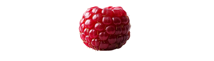 A Single Raspberry, Isolated on a Transparent Background A Macro Look at the Delicate Texture and Vibrant Color png