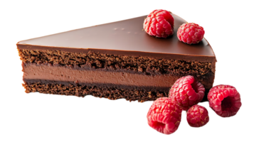 Chocolate Raspberry Cake with Creamy Filling and a Transparent Background png