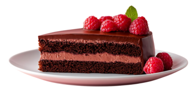 Chocolate Cake with Raspberry Topping on a Transparent Background png