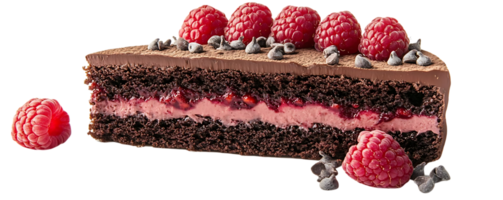 Chocolate Raspberry Cake with a Delicious Transparent Background png