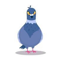 illustration of an angry dove in cartoon style Bandit pigeon vector
