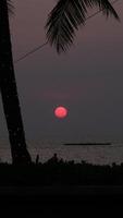Silhouette coconut palm trees in beautiful sunset or sunrise sky over sea,Amazing light nature colorful clouds landscape,Beautiful light nature sky and clouds seascape,Sky clouds background video