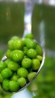 Puree mashed potatoes with green pea in bowl on wooden table plate of soup puree of green peas with mint on a table video