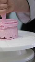 Ganache with Camembert cheese and pears Woman holding raspberry bento cake stuffed with whipped cream. Confectionery, baking and cooking concept woman making cake. process of creating video