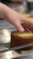 Ganache with Camembert cheese and pears Woman holding raspberry bento cake stuffed with whipped cream. Confectionery, baking and cooking concept woman making cake. process of creating video