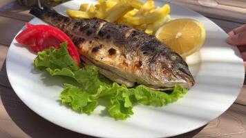 salad fish Dorado fries white plate with lemon beautiful presentation swirl in front of camera video