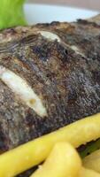 Dorado fish with French Fries grilled vegetables video