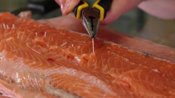 remove bones from salmon with pliers. boneless salmon filet and a pliers to remove the fish bone video