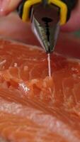 remove bones from salmon with pliers. boneless salmon filet and a pliers to remove the fish bone video