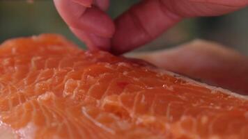 remove bones from red fish Close up shot the cook remove bones from fresh red fish video