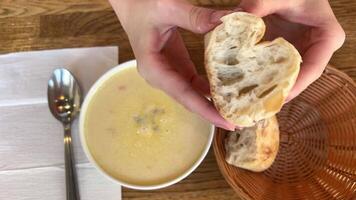 Champignon mushrooms in creamy sauce and champignon cream soup. Lunch at restaurant. Two dishes, basket of bread, fork and knife on table. Wooden table. Side view. Soft focus soft bread cream soup video