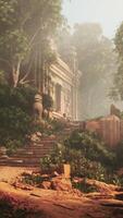 Scenic Forest With House in the Background video