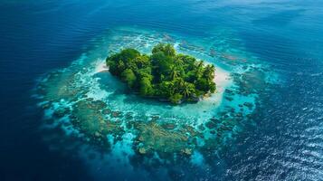Aerial View of a Pristine Small Island with Crystal Clear Coral Reef, Tropical Paradise Drone Shot photo