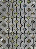 The area is paved with cement blocks placed together to form a pattern. photo