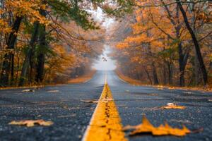 Endless road of travel on rural highways There are natural trees on both sides of the road. photo